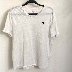 Express V-Neck Shirt